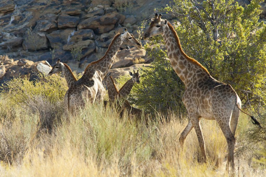 Tutwa Desert Lodge Augrabies Exterior foto